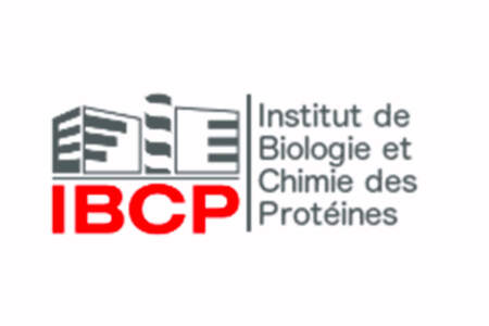 Logo de l'Institut de Biologie et Chimie des Protéines (IBCP) avec le texte en rouge et une représentation stylisée d'immeubles.